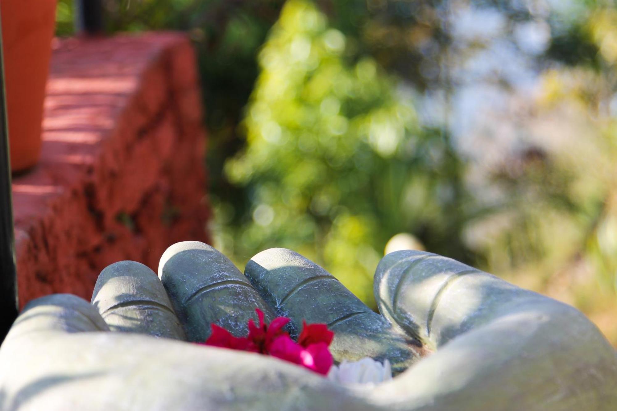 Raniban Retreat Hotel Pokhara Ngoại thất bức ảnh